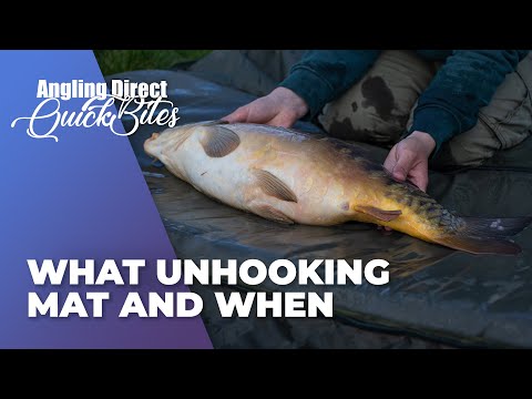 What Unhooking Mat And When - Carp Fishing Quickbite