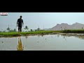 Farmer Day Son Of Farmer Maharshi Movie Whatsapp Statu Mahesh Babu Kannada Telugu Tollywood Tamil
