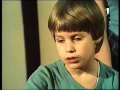 Sršne v úli (4 diel)