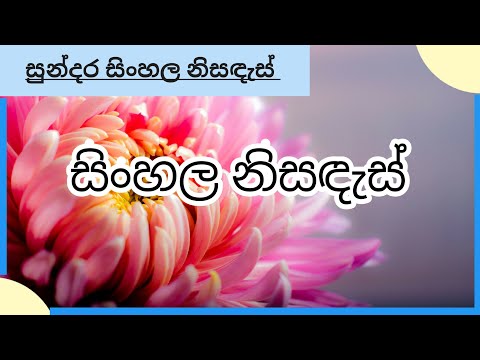 නිසඳැස් වලට ආදරේ කරන ඔයත් අනිවාරෙන් බලන්න | ලස්සන නිසඳැස් | sinhala nisadas | wadan sayura