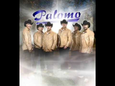 Cual Corazon - Grupo Palomo