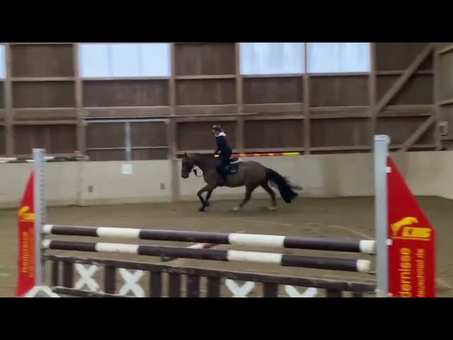 Tarantino trainingsvideo