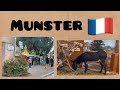 Munster A Fairytale Christmas Alsace S Magical Christmas Atmosphere