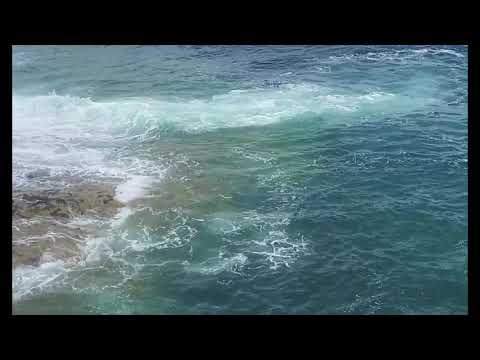 ocean man  - ween (cover by sav.brown4 TT)