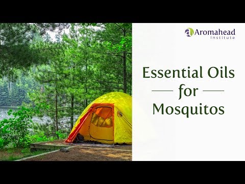 Essential Oils for Mosquitos