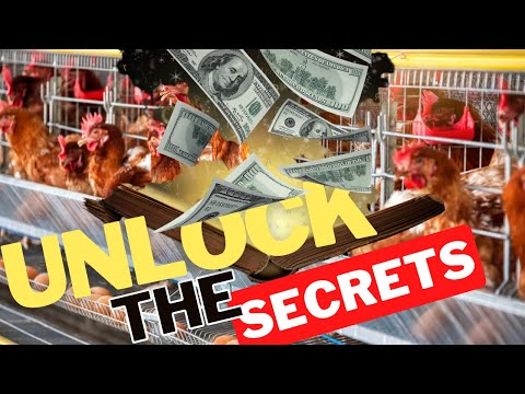 , title : 'Do THIS (5 SECRETS) To Make Your Poultry Farming Business Profitable #poultrybusiness'