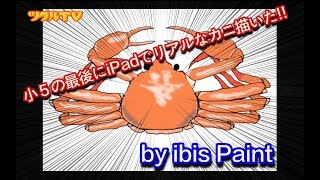 【ツクル】小５の最後に iPad Pro と Apple Pencil を使ってでリアルなカニ描いた！！