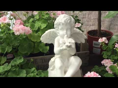 Tant Grön, Vintrosa. Café, blommor & inredningsbutik.