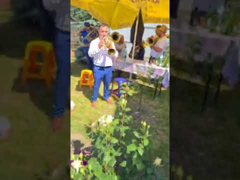 Fanfara lui Raducu de la Valea Mare