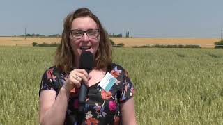 Les micro-organismes en agriculture sont-ils déjà incontournables ?