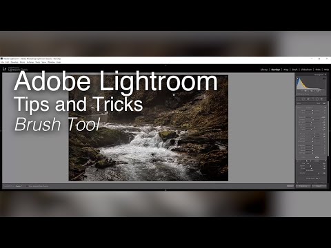 Wex Tips and Tricks | Adobe Lightroom - Brush Tool