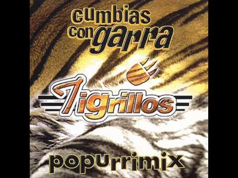 Los Tigrillos - Popurri Mix Vol. 1