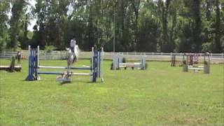 preview picture of video '2010 June Feather Creek Farm Stadium Jumping'