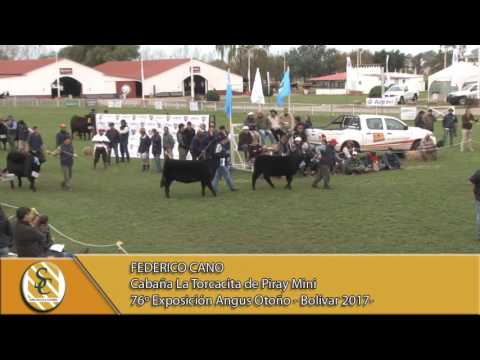 17-05-17 Nota Federico Cano - Cabaña Piray Mini - 76º Exposicion Angus de Otoño - Bolivar