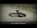 Abdul Rahman Mossad | Beautiful recitation of quran |kullu nafsin zaikatul maut
