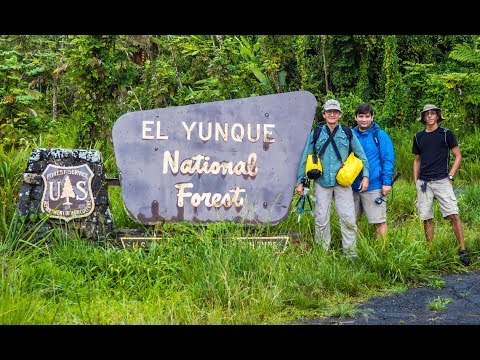 El Yunque vereda el Toro
