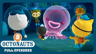 @Octonauts - 🎐The Giant Jelly 🐧  | Season 1 | Full Episodes | Cartoons for Kids
