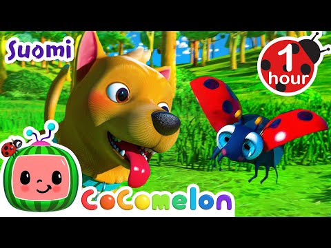 Missä mun koirani on | CoComelon Suomeksi - Lastenlaulut vauvoille | Lastenlauluja ja loruja