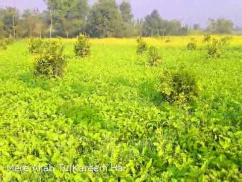 Mere Allah Tu Kareem Hai - Naat in Punjabi (no music)