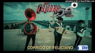 - Corrido De Feliciano |calibre 50