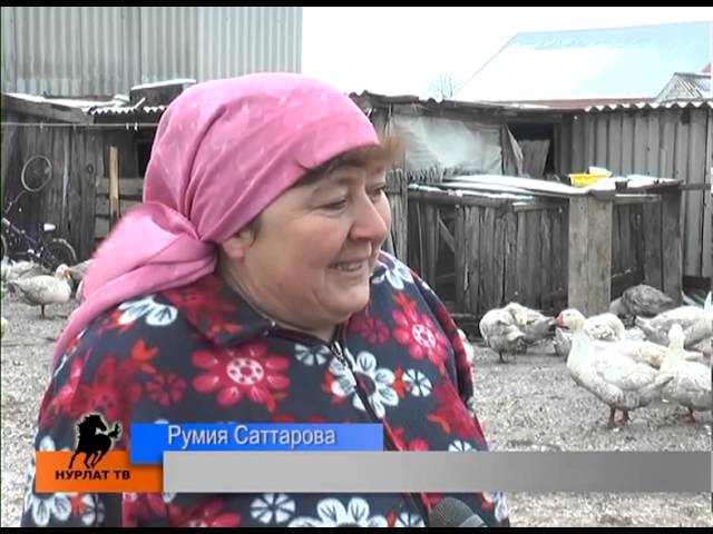 200 мең сум бирәләр