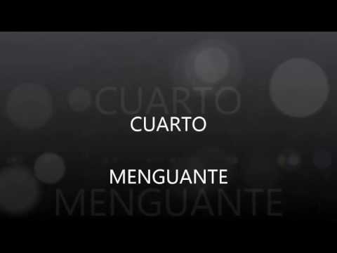 Las Fases De La Luna