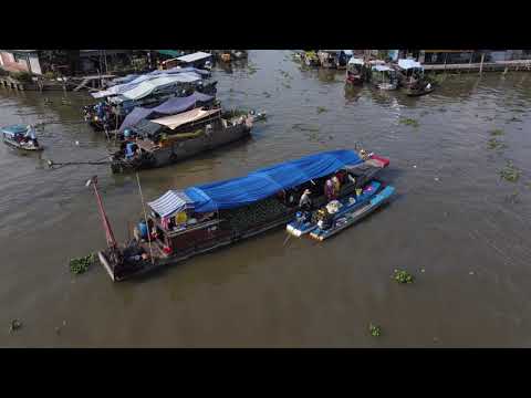 Người xa - Tâm Thư