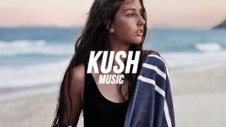 Zara Larsson - I Would Like (R3HAB Remix)