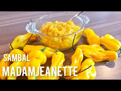 Surinaamse Sambal van Madamjeanette recept|Surinamese hot pepper sauce recipe|