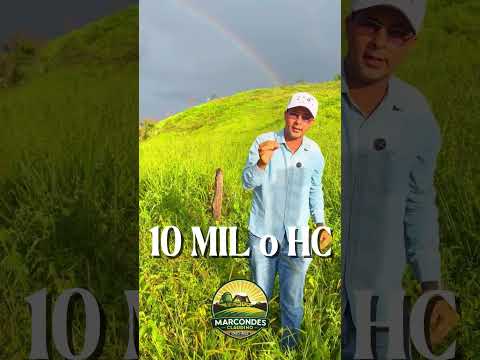 🌿🐄 FAZENDA À VENDA EM MEDINA – MG 🐄🌿part 1 #agro