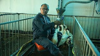 Thumbnail del capítulo