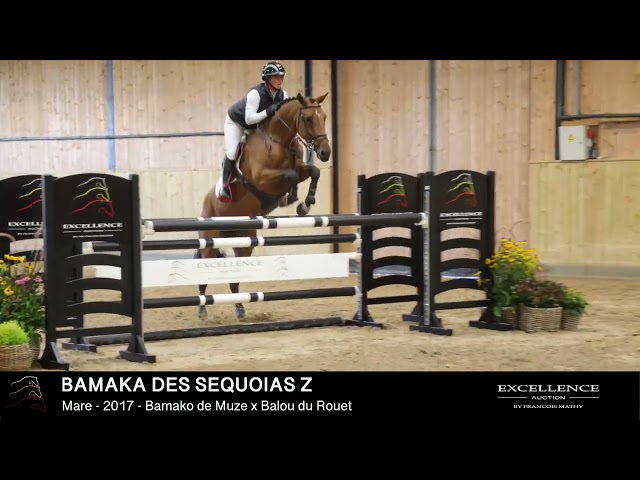 BAMAKA DES SEQUOIAS Z - Model & dressage