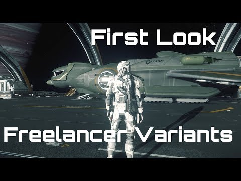 Star Citizen 3.4 ptu - First look - Freelancer variants!