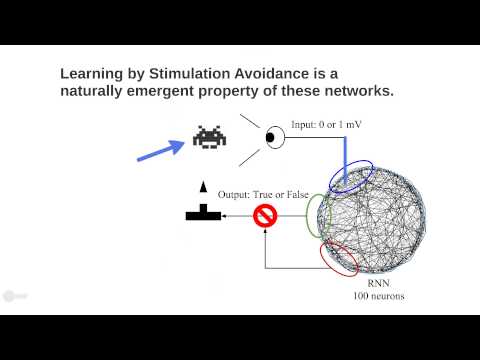 ECAL2015: Learning By Stimulation Avoidance