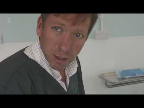 The Yorkshire Vet S14E07