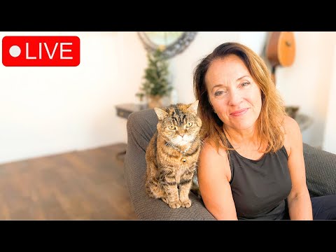 Chatting with My Cat is live!