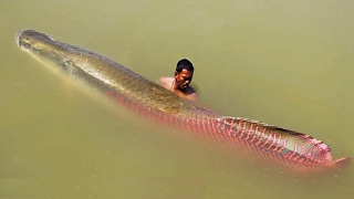 TOP 15 MONSTRUOS ÉPICOS DEL AMAZONAS