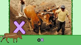 Starfall Letter X - OX