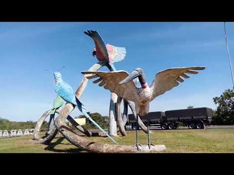 Trevo Das Araras CAARAPÓ/Mato Grosso Sul/BRASIL #viajes #caarapó  #matogrossodosul #viajar #viajando