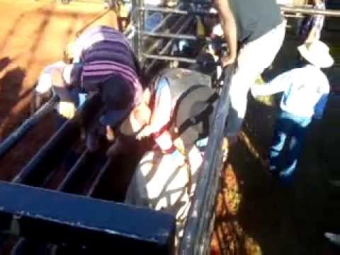 Profissionais em Touros