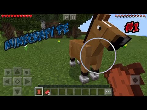 Herobrine esiste?!...#MinecraftEP1