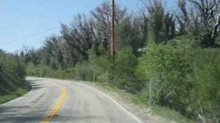 preview picture of video 'Burned Trees at Mt. Laguna & Deserted Julian'