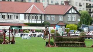 Lightweight Working Hunter Dublin Horse Show 09