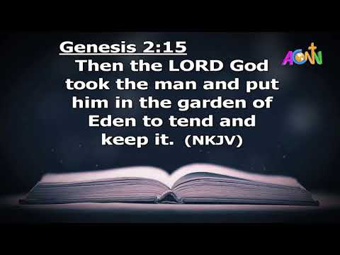 DAILY FOUNTAIN DEVOTIONAL FOR 20 FEBRUARY 2020 - THE VEN. TAMUNOTONYE .S. BAMSON