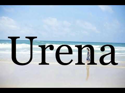 How To Pronounce Urena🌈🌈🌈🌈🌈🌈Pronunciation Of Urena