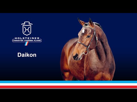 Holsteiner Verbandshengste 2021 | Daikon v. Dominator Z-Cassini I