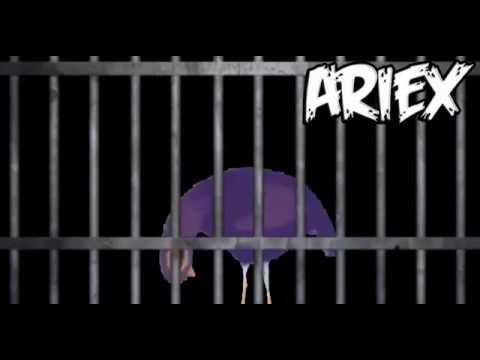 PICCIONE FACEBOOK CHIUSO NELL'ANGOLO ROTTURE LIDL