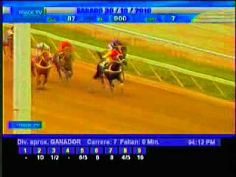 Resumen Sábado 30 de Octubre 2010 - La Rinconada