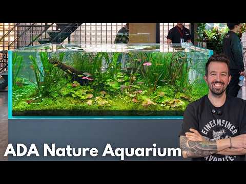 Das schönste Aquarium in der ADA Nature Aquarium Gallery | Aquarium Vorstellung
