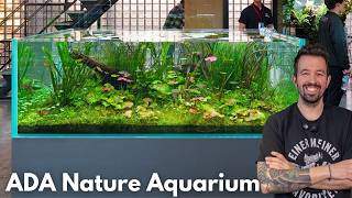 Das schönste Aquarium in der ADA Nature Aquarium Gallery | Aquarium Vorstellung